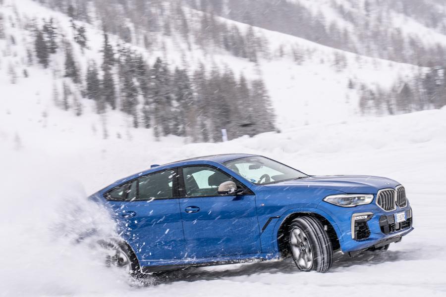  BMW X6 M50d (G06) 2019 года  (WW) (фото 13 из 22)